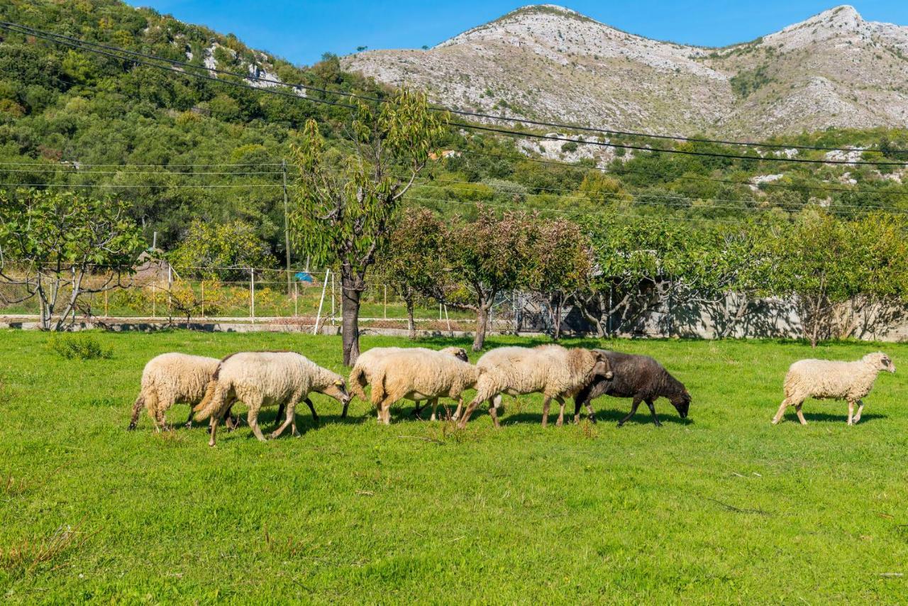 Luki Home Dubrovnik Buitenkant foto